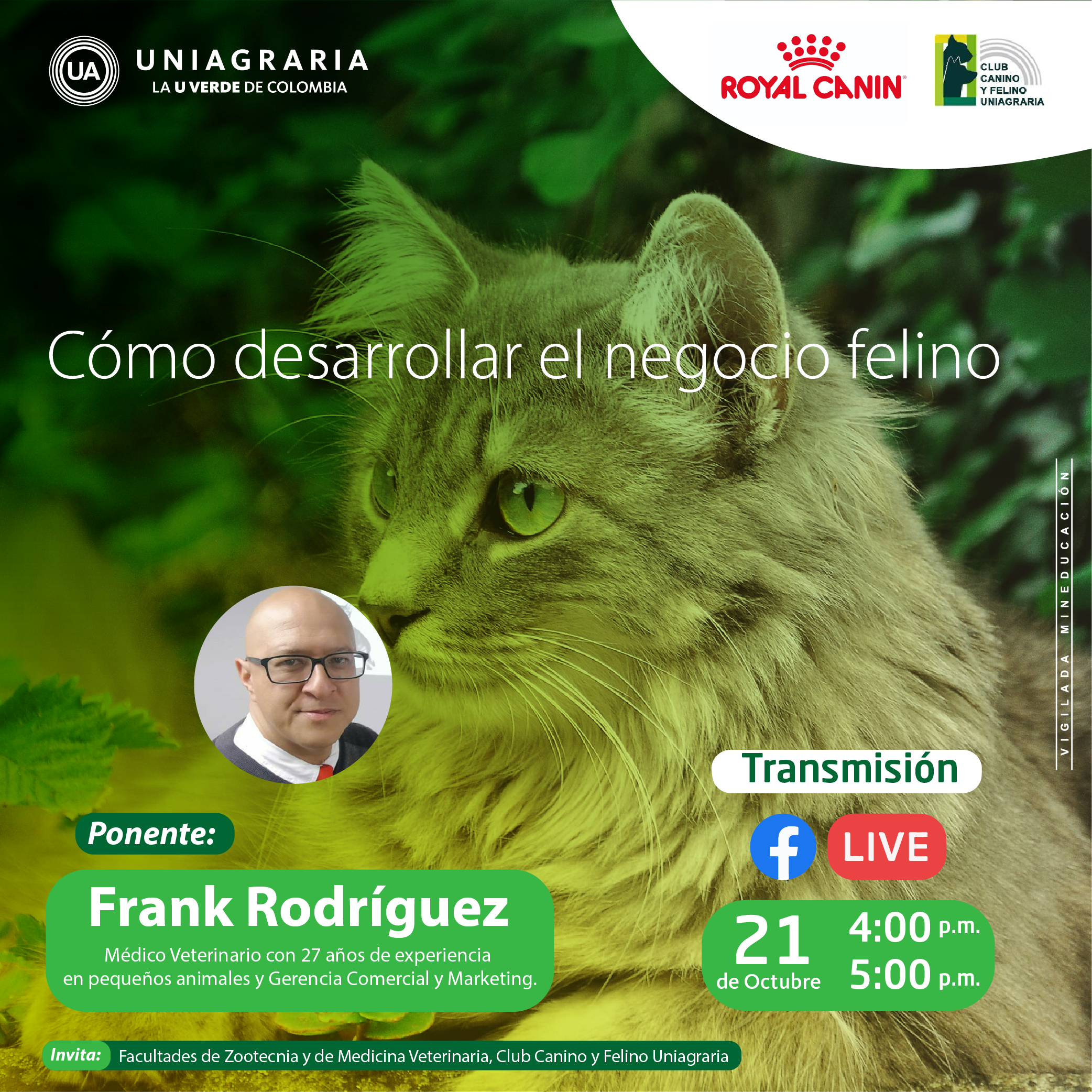 Manejo nutricional de la diabetes en felinos