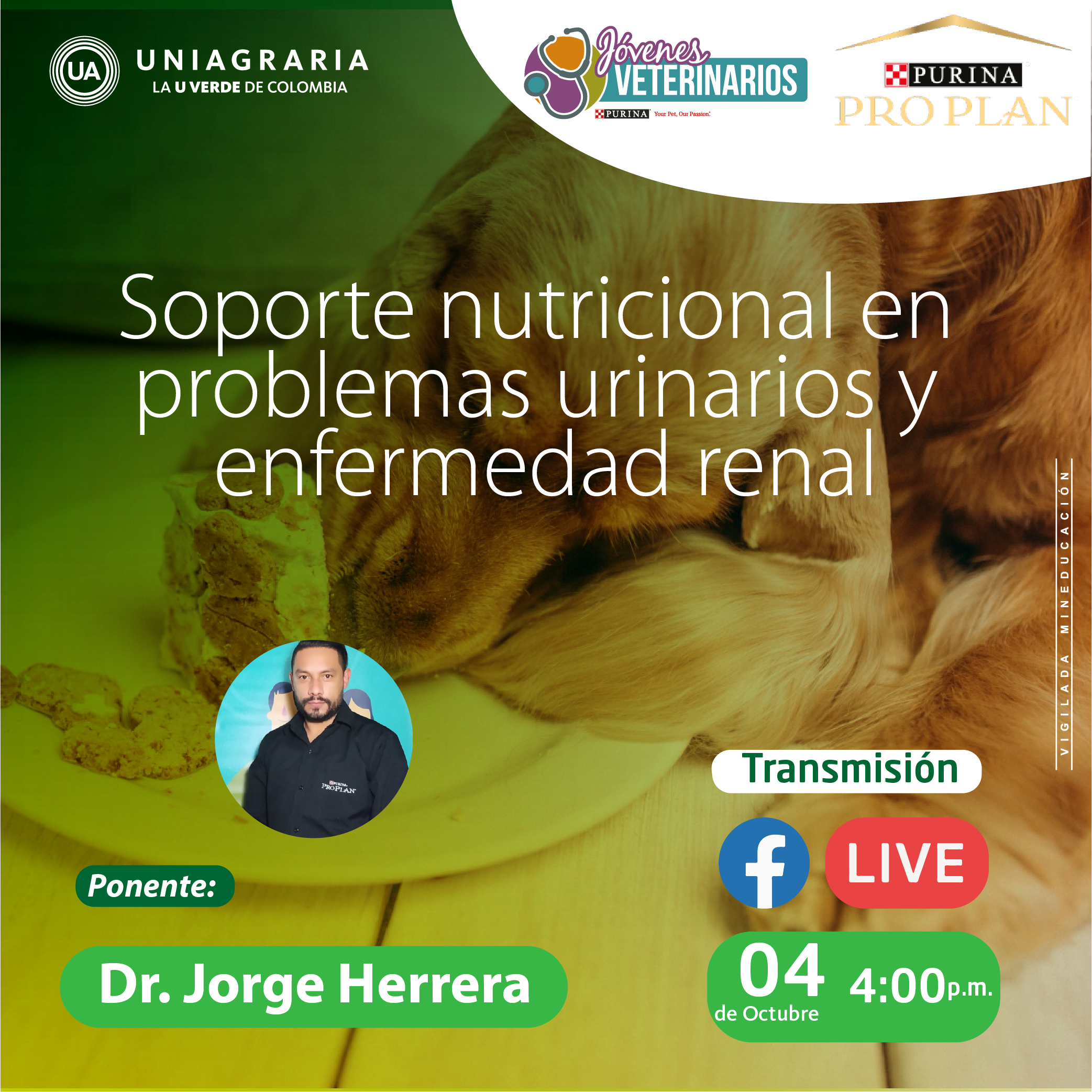 Soporte nutricional en problemas urinarios y enfermedad renal