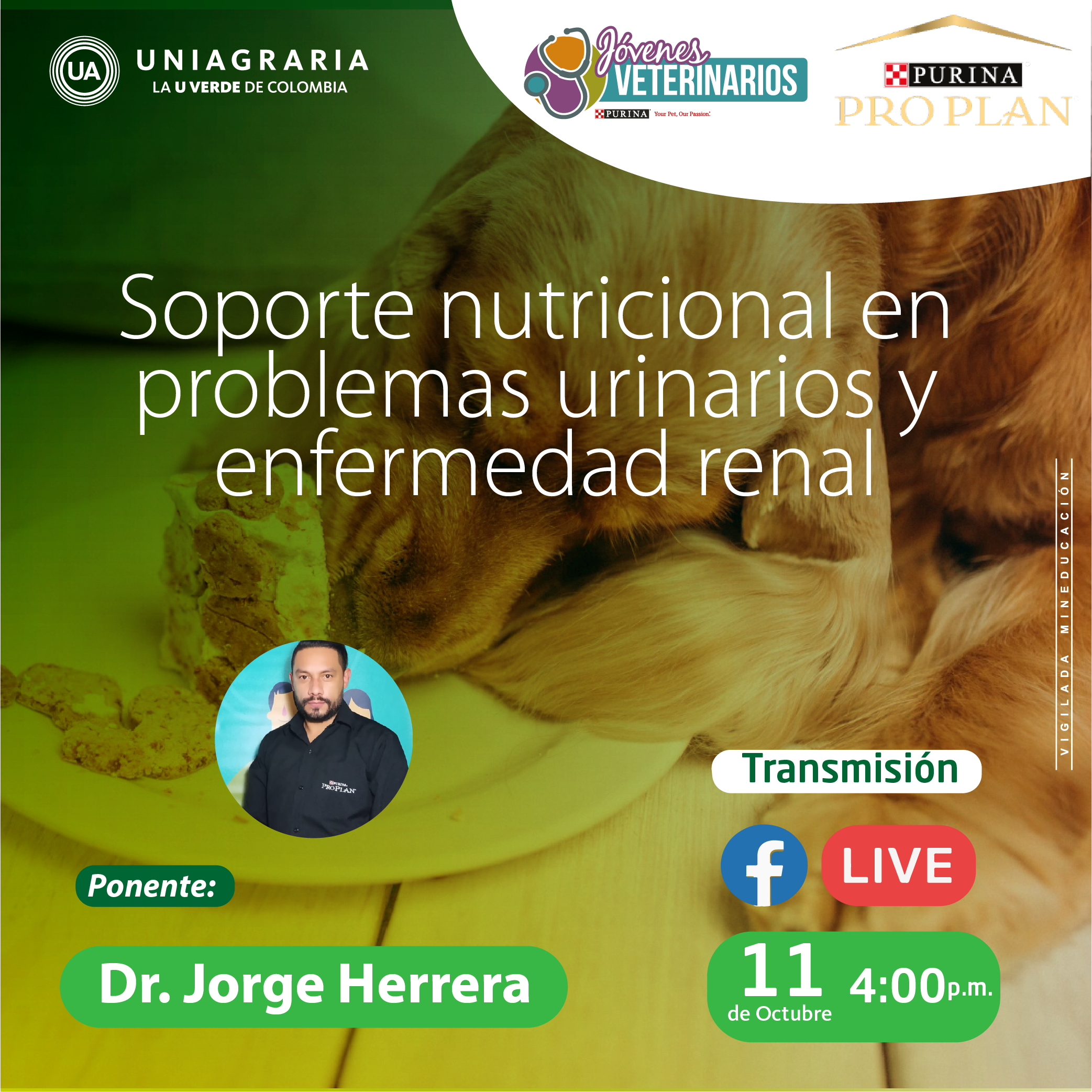 Soporte nutricional en problemas urinarios y enfermedad renal