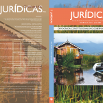 Revista del Centro de investigaciones Jurídicas, Políticas y Sociales