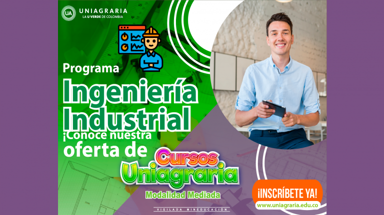 Programa de Ingeniería Industrial