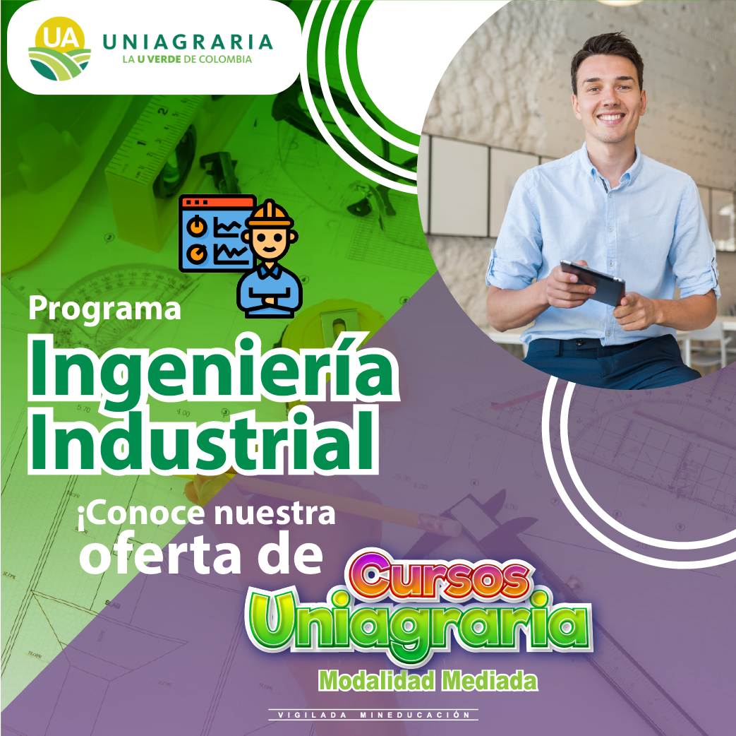 Programa de Ingeniería Industrial