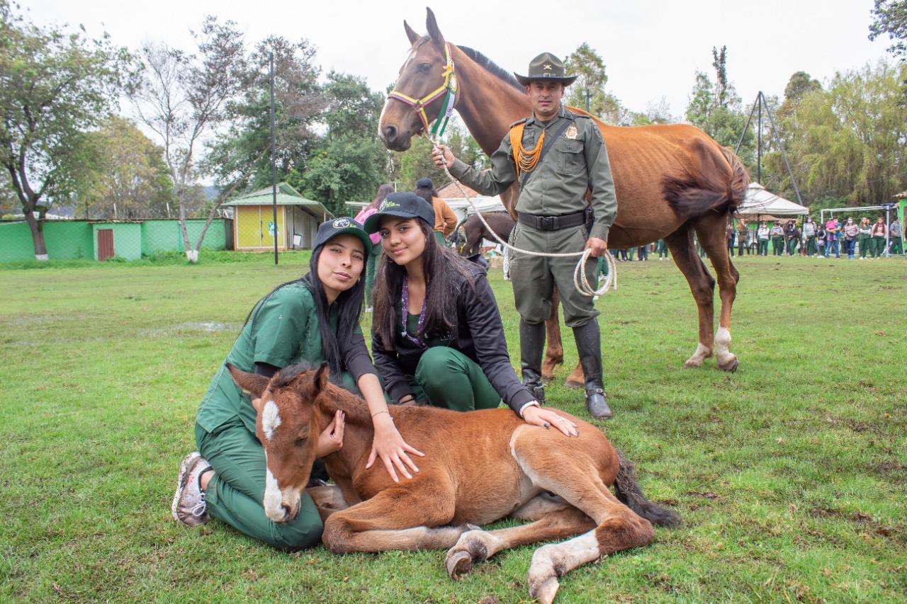 Día del médico Veterinario