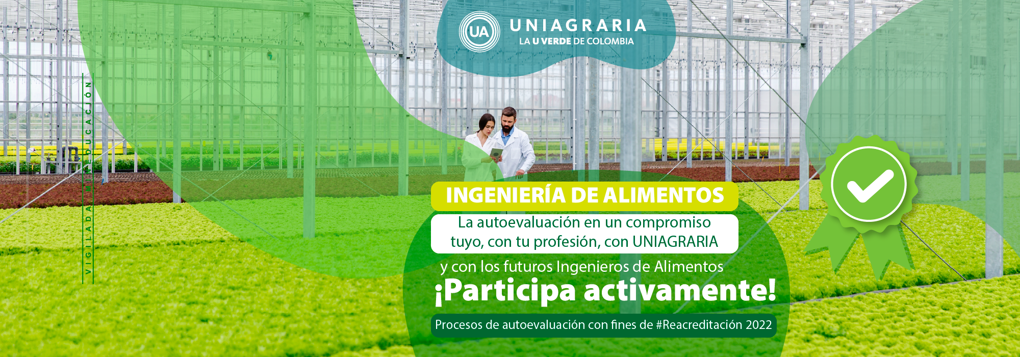 Ing Alimentos Re acreditación