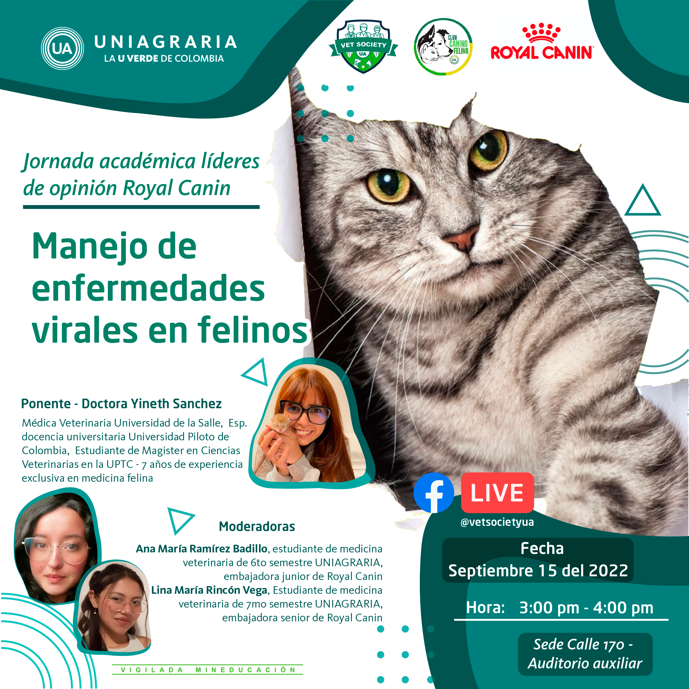 Manejo de enfermedades virales en felinos