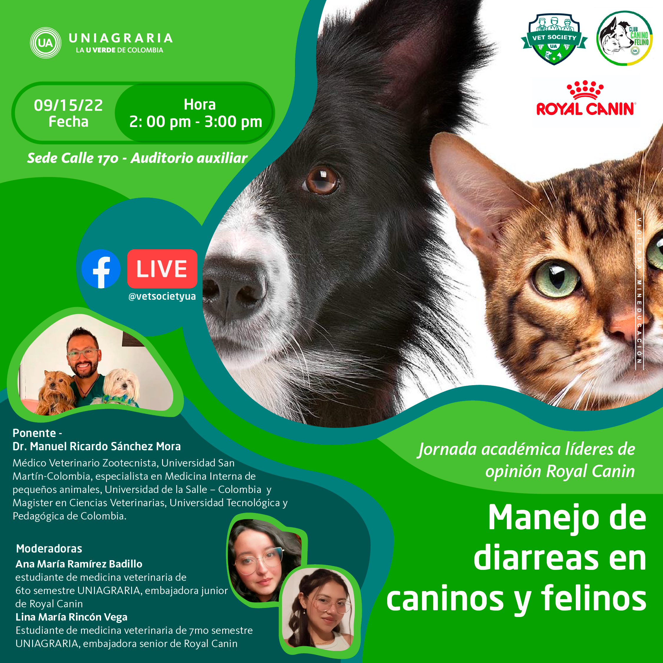 Manejo de diarreas en caninos y felinos