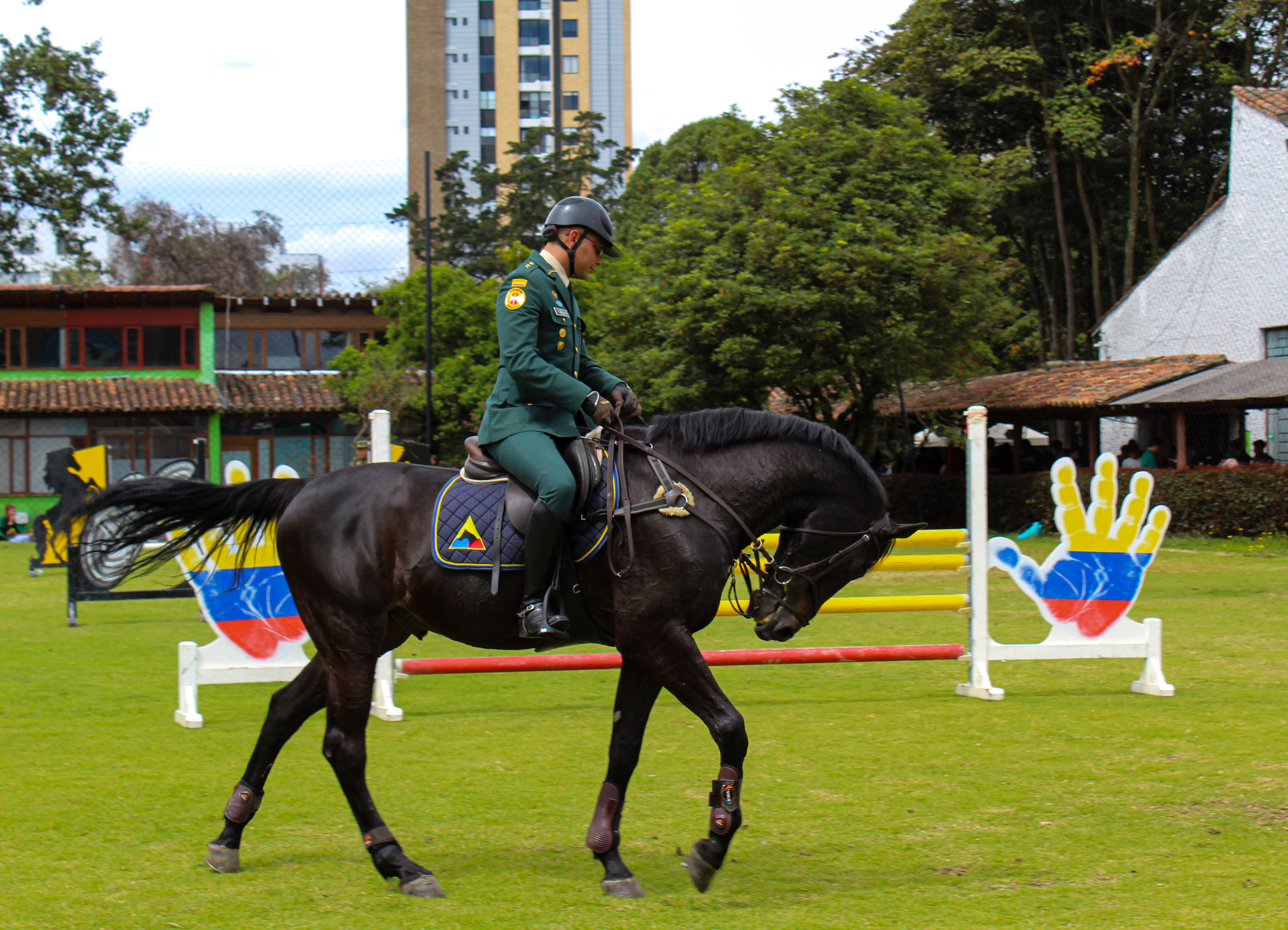 Celebración Día del Médico Veterinario en Colombia