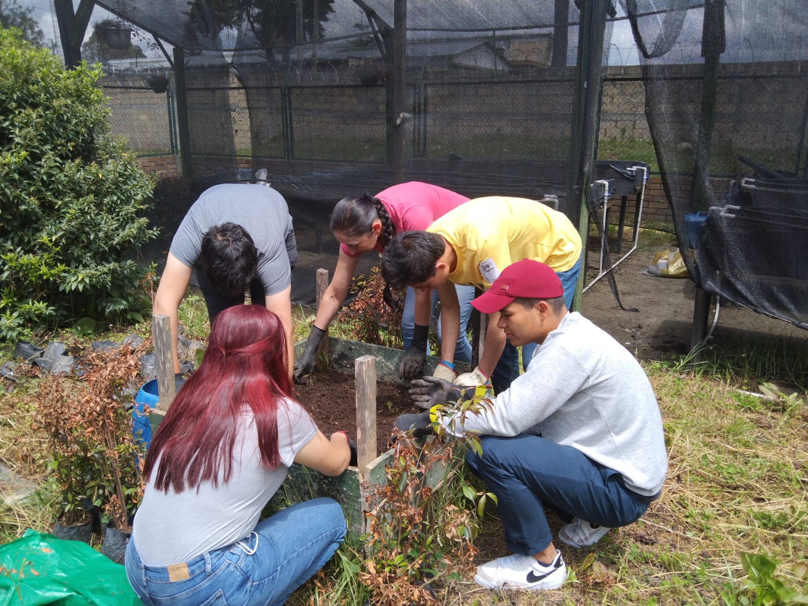 Proyectos de aula de Ingeniería Ambiental