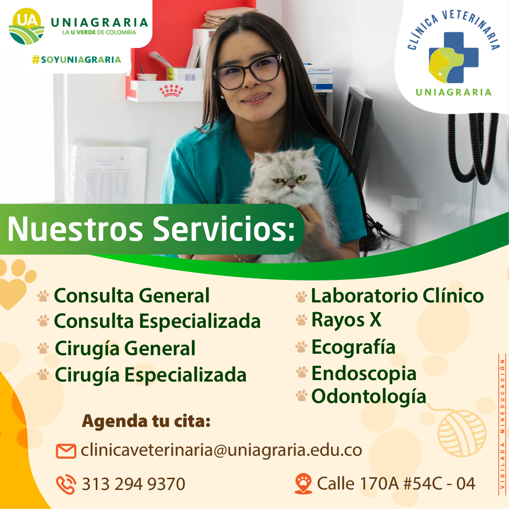 Clínica Veterinaria – Nuestros servicios