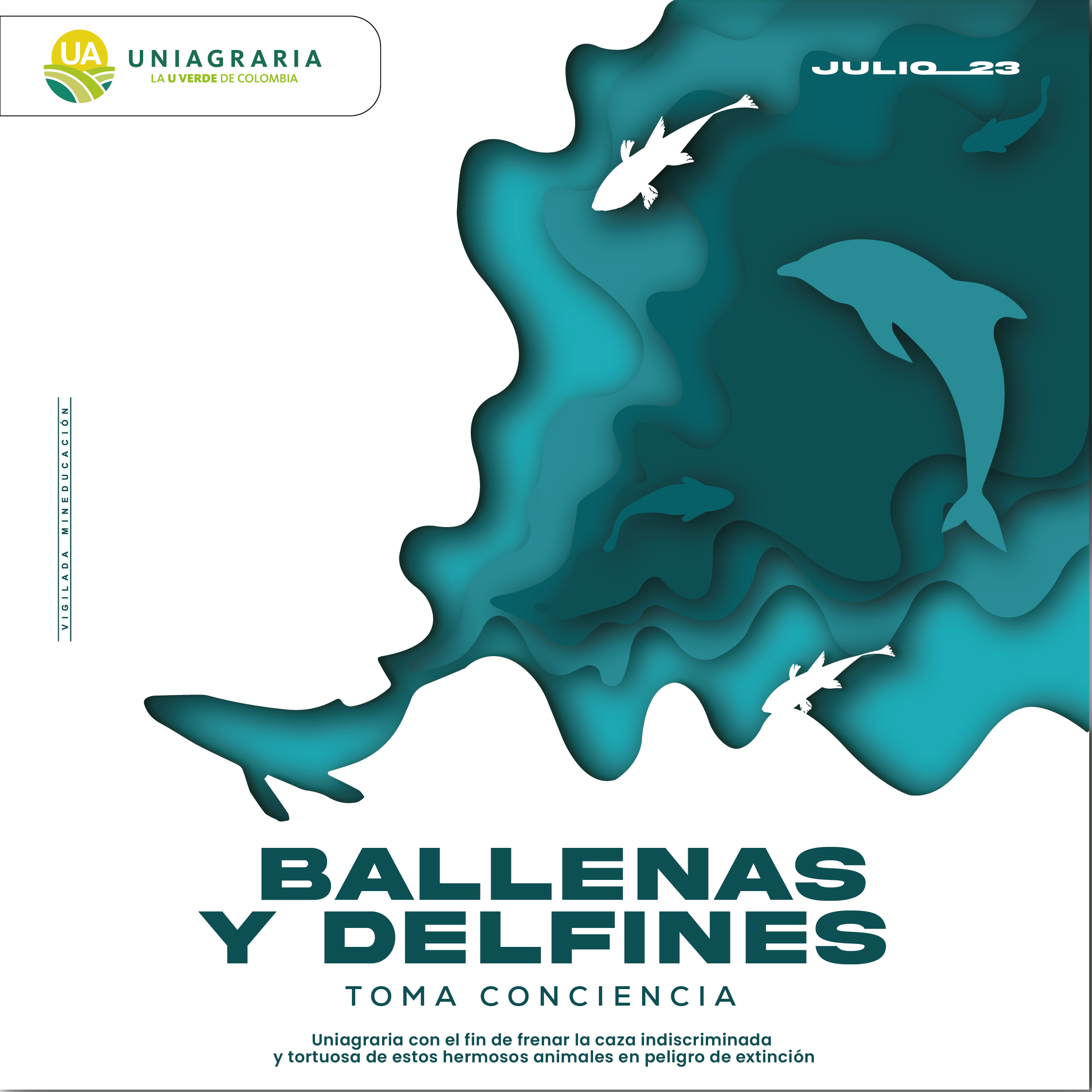 Ballenas y Delfines Uniagraria con el fin de frenar la caza indiscriminada y tortuosa de estos animales