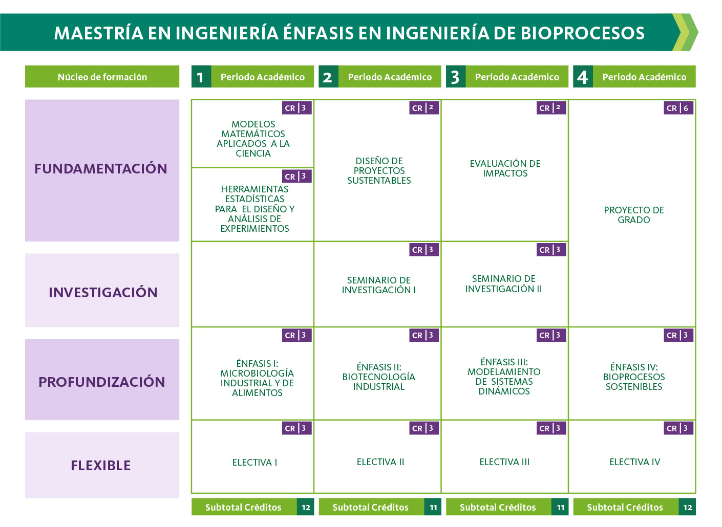 Plan de estudios de Maestría en Ingeniería énfasis en Ingeniería de Bioprocesos