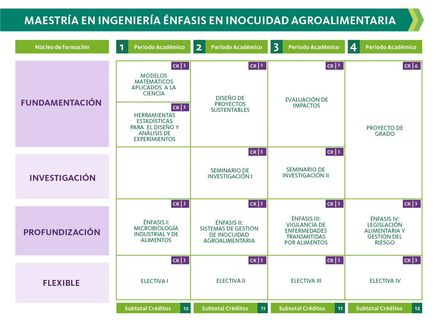 Plan de estudios de Maestría en Ingeniería énfasis en Inocuidad Agroalimentaria