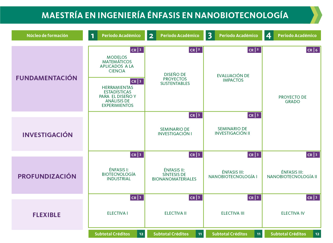 Plan de estudios de Maestría en Ingeniería énfasis en Nanobiotecnología
