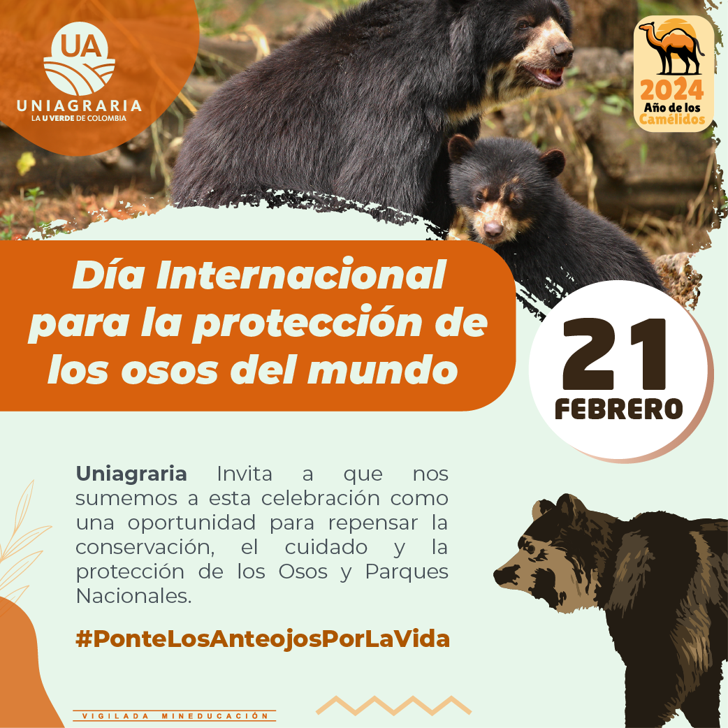 Día Internacional para la protección de los osos del mundo