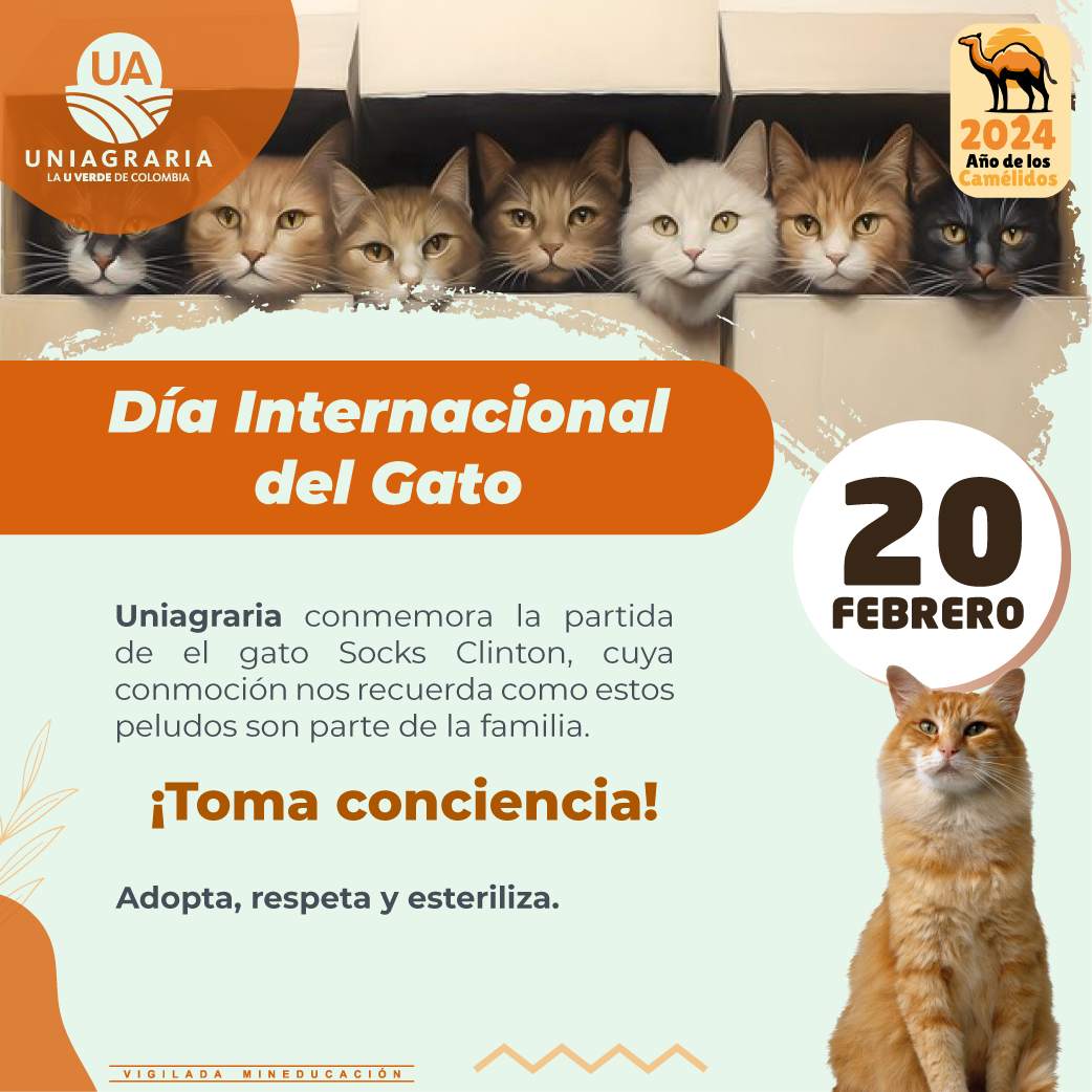 Día Internacional del gato