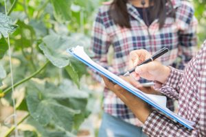 ¡Éxito renovado para el Programa de Ingeniería Agroindustrial de UNIAGRARIA!