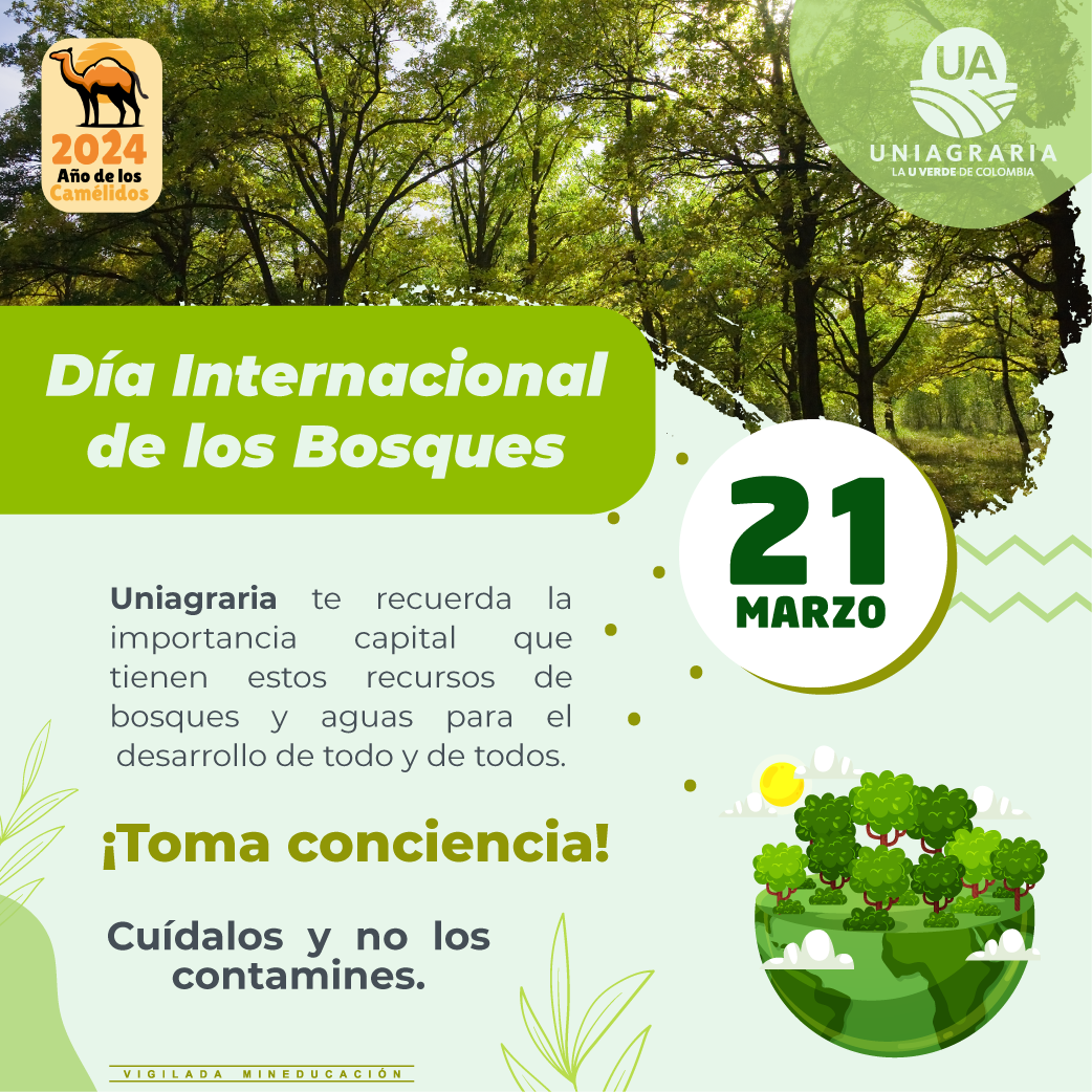 Día Internacional de los Bosques