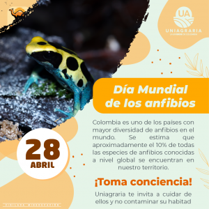 Día Mundial de los anfibios