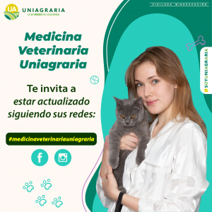 Nuevo FanPage de Facebook – Medicina Veterinaria