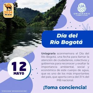 Día Del Río Bogotá