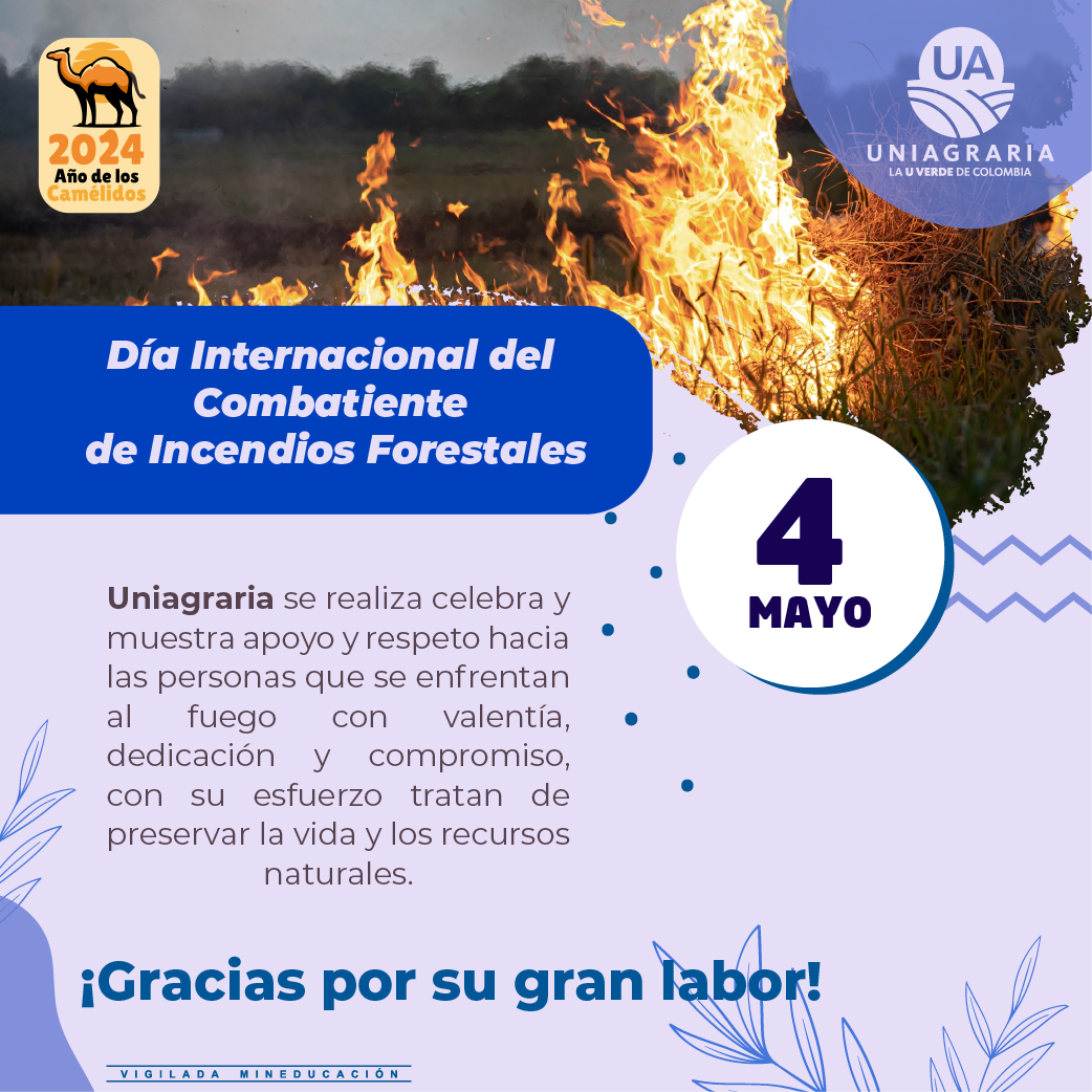Día Internacional del combatiente de incendios forestales