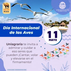 Día Internacional de las Aves