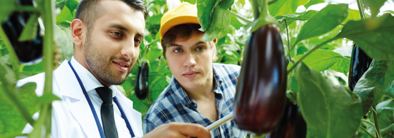Diplomado en Extensión Agropecuaria
