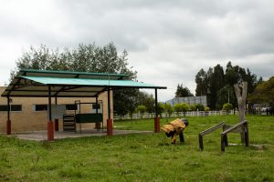 Centro de Investigación y Desarrollo Tecnológico CIDT “Pinares de Tenjo”