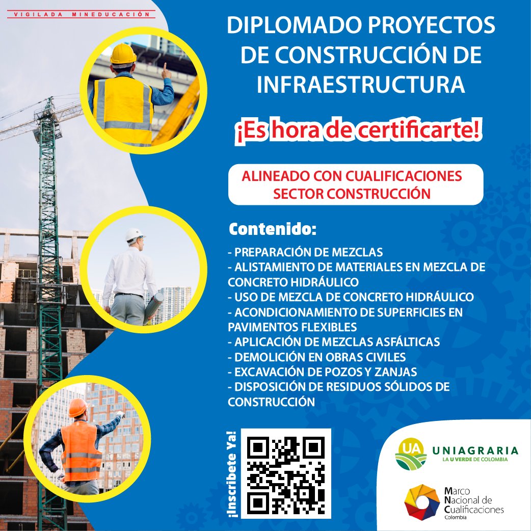Diplomado Proyectos de construcción de infraestructura
