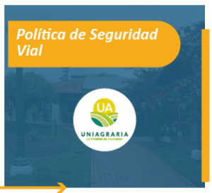 Política de seguridad vial