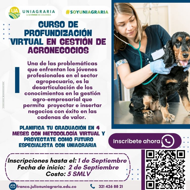 Diplomado Proyectos de construcción de infraestructura