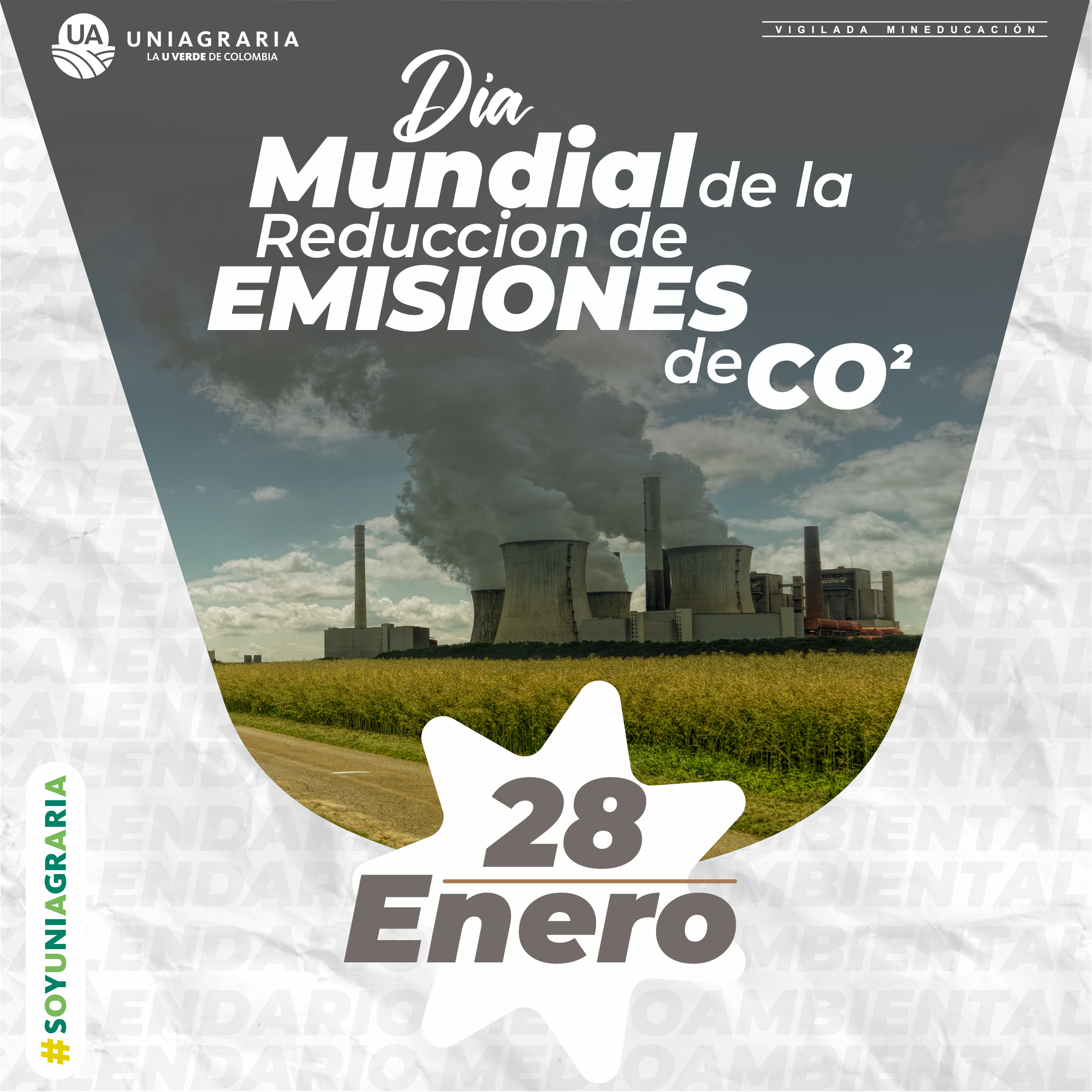 Día Mundial de la educación ambiental