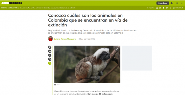 Conozca cuáles son los animales en Colombia que se encuentran en vía de extinción