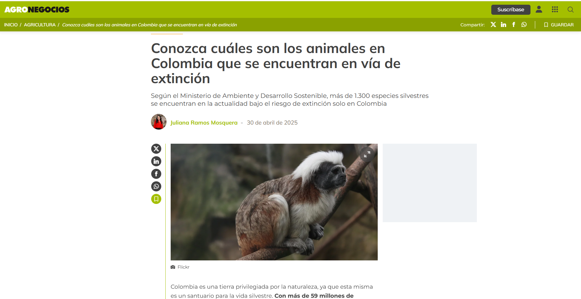 Conozca cuáles son los animales en Colombia que se encuentran en vía de extinción