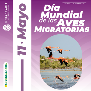 Día Mundial de las Aves Migratorias