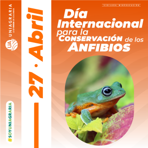 Día Internacional para la Conservación de los Anfibios
