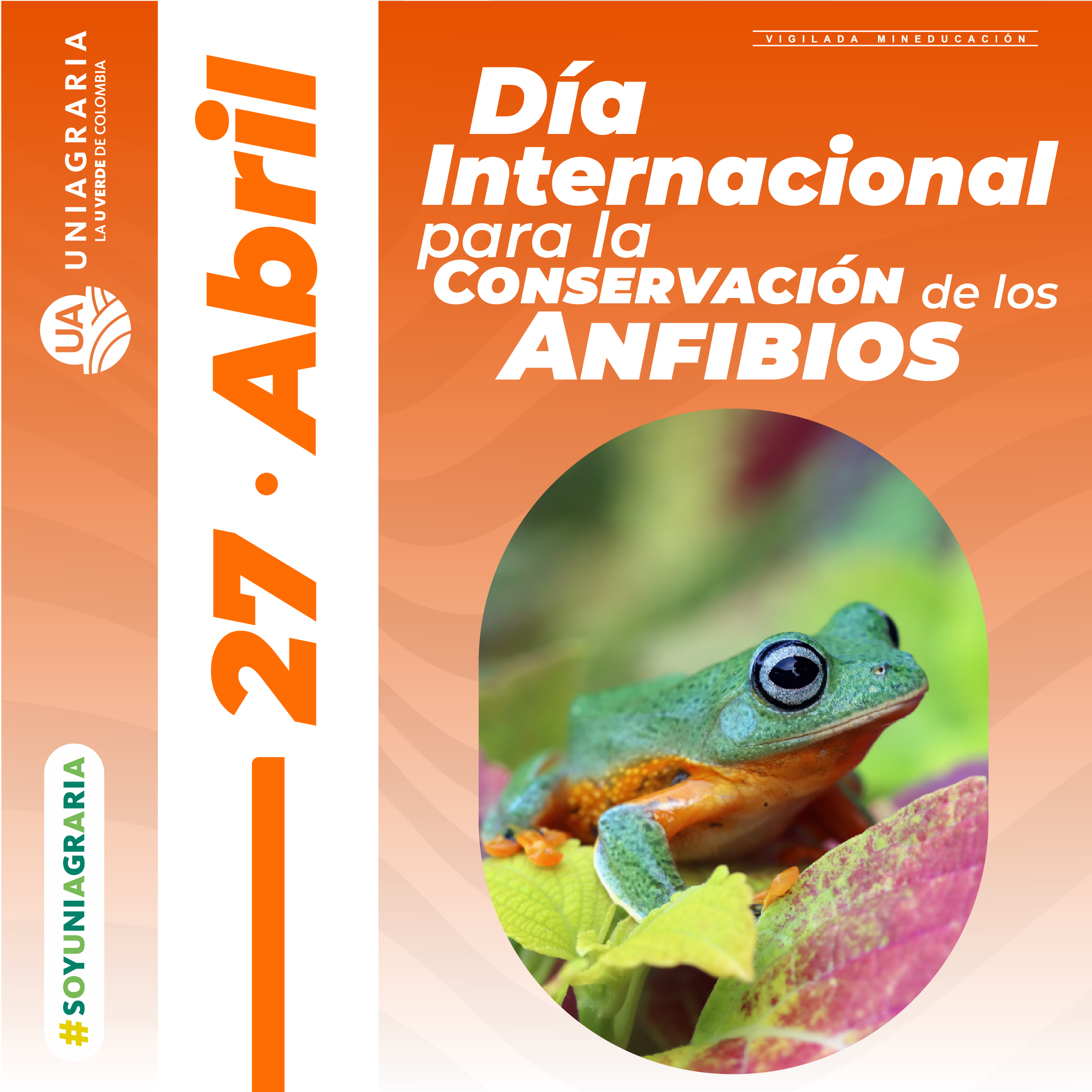 Día Internacional para la Conservación de los Anfibios
