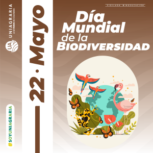 Día Mundial de la Biodiversidad