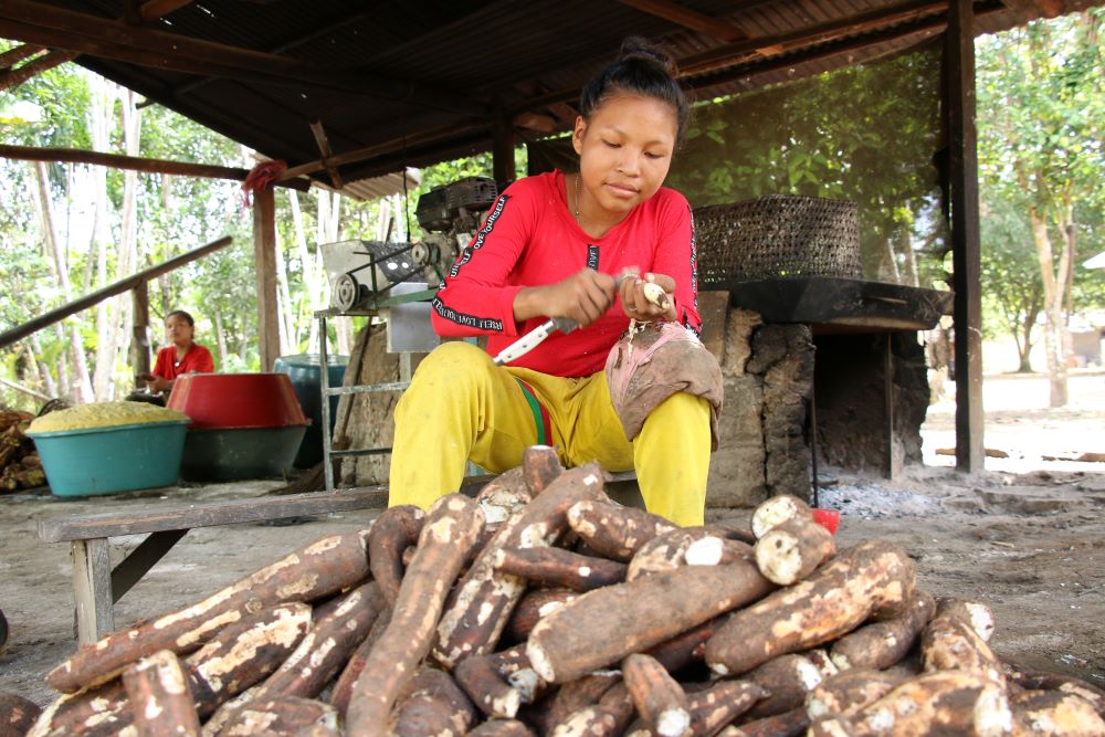 Sembrando vida: Las mujeres indígenas y el alma de la chagra