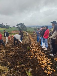 El programa IDEAS se tomó Boyacá con su proyecto misional de impacto territorial