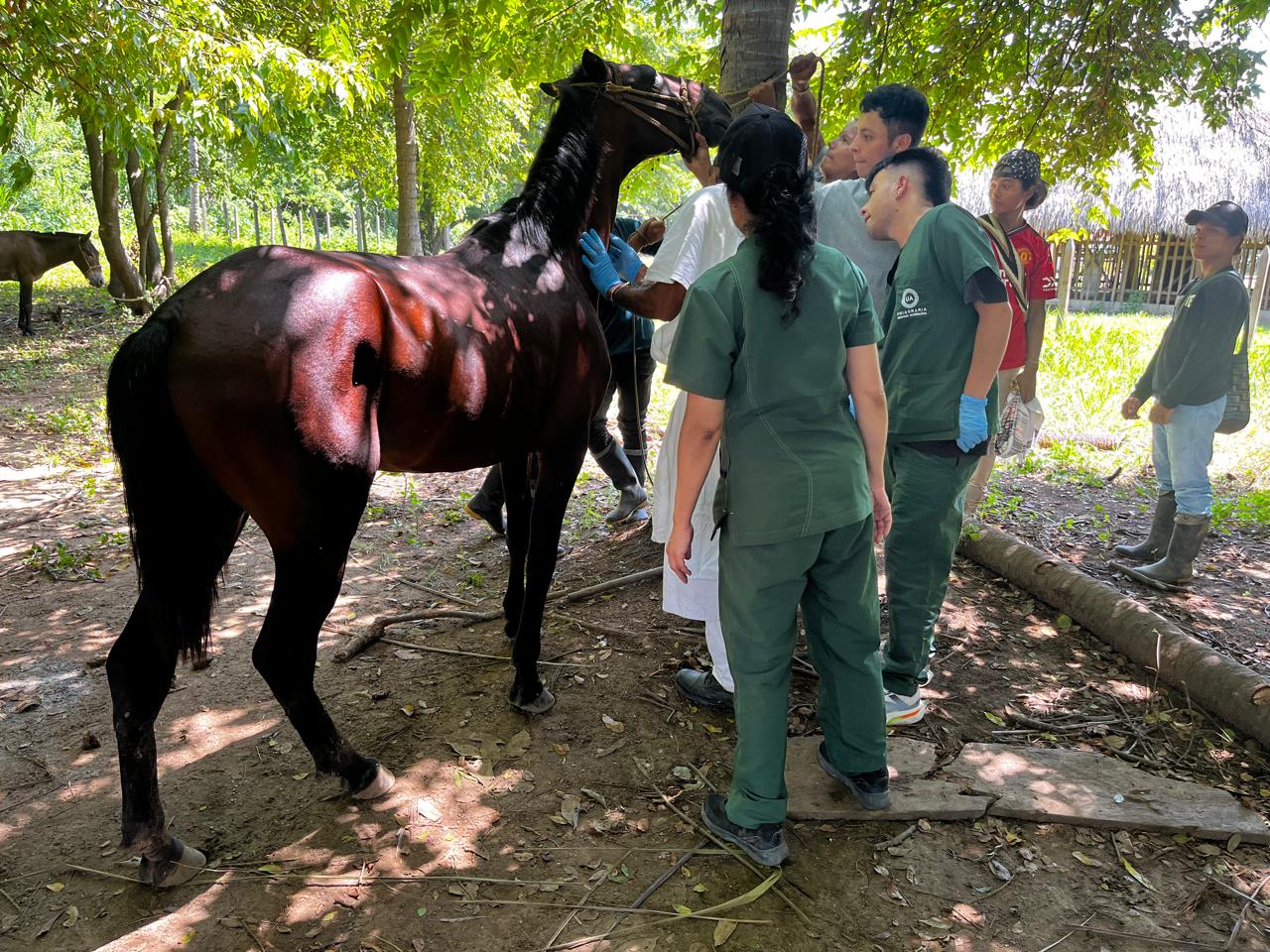 Acciones comunitarias en Katanzama buscan fortalecer la vigilancia y el bienestar animal frente a arbovirus