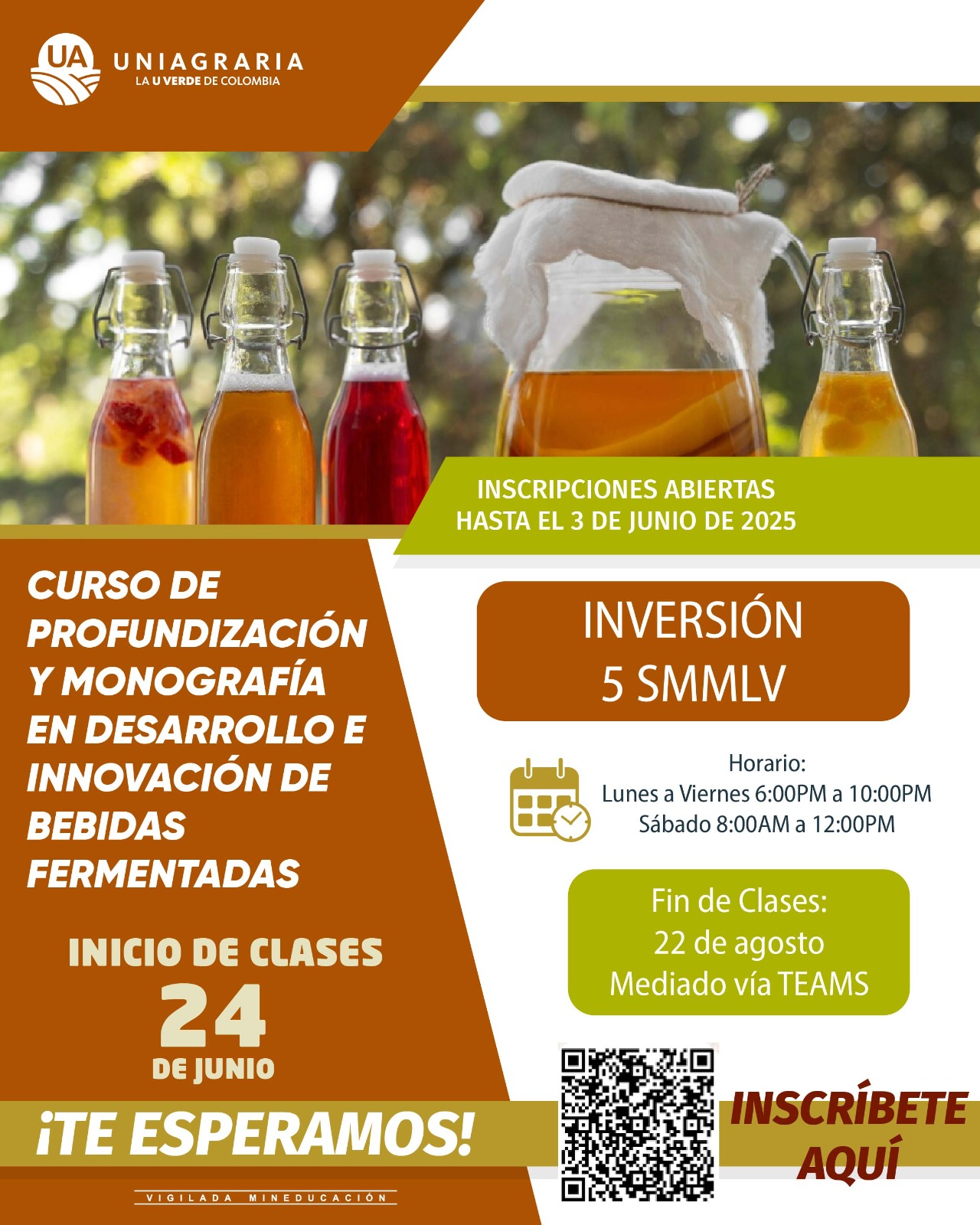 Diplomado y/o Curso de profundización y monografía en Desarrollo e Innovación de bebidas fermentadas