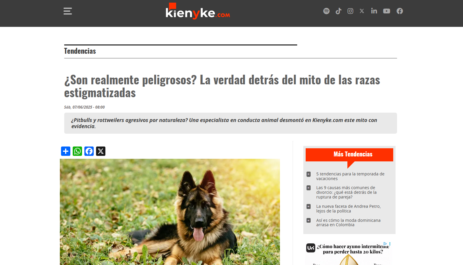 ¿Son realmente peligrosos? La verdad detrás del mito de las razas estigmatizadas
