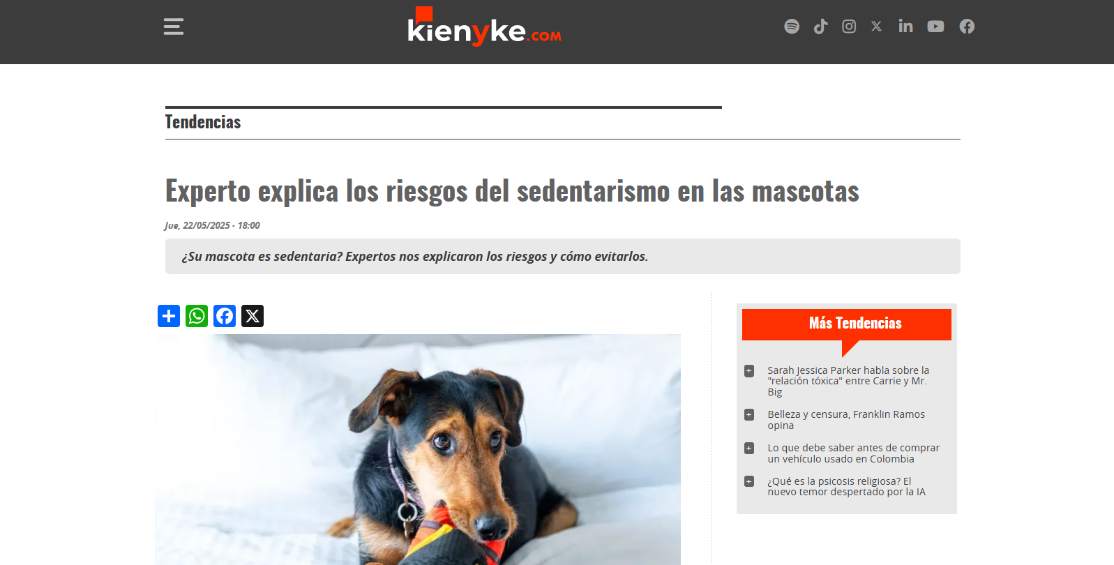 Experto de UNIAGRARIA explica los riesgos del sedentarismo en las mascotas