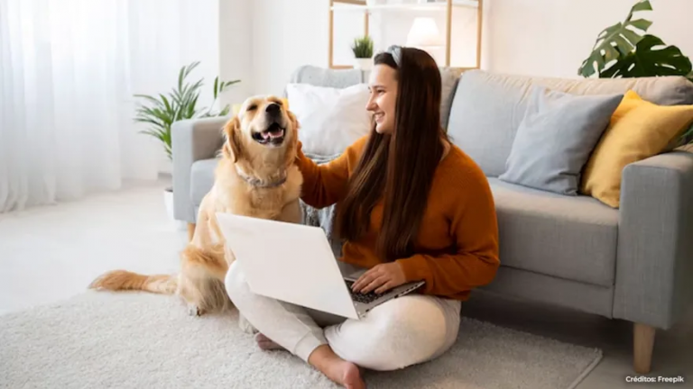 ¿Cuáles son las mejores razas de perros para tener en casa?