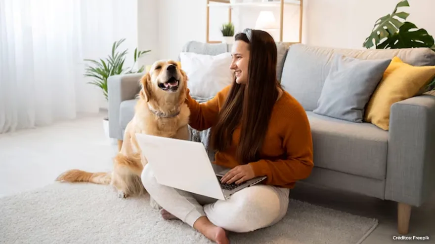¿Cuáles son las mejores razas de perros para tener en casa?