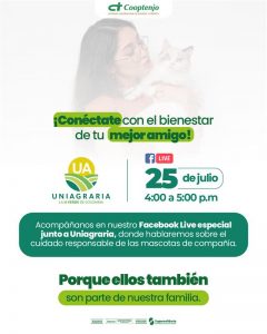 Cuidado responsable de las mascotas de compañía