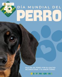 Día Mundial del Perro