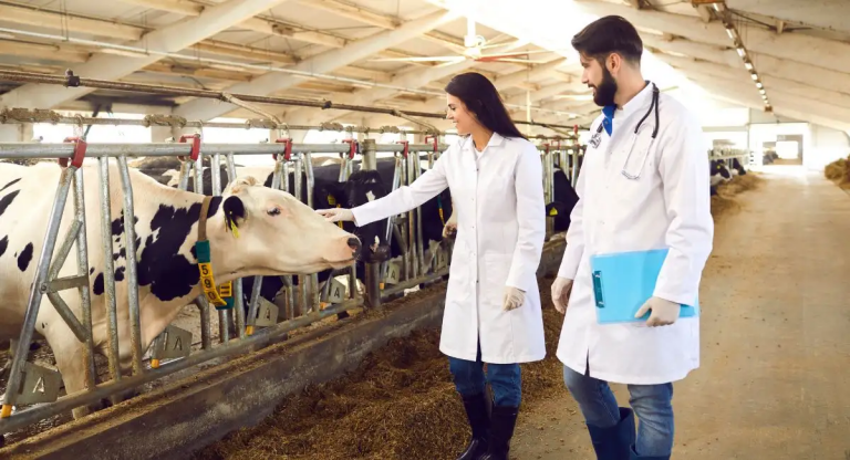 Becas en la matrícula por parte de UNIAGRARIA a estudiantes que entren a la carrera de medicina veterinaria este segundo semestre