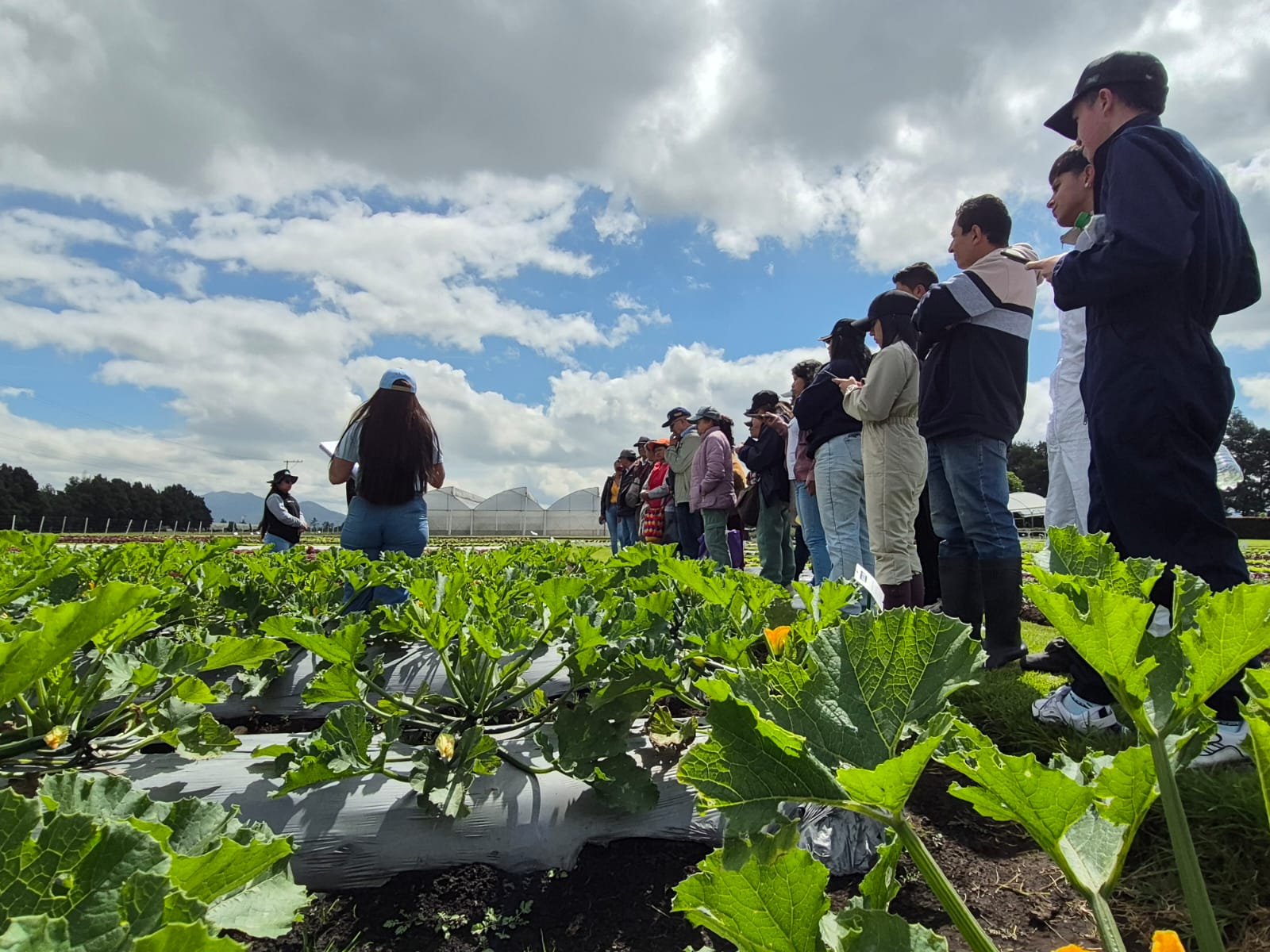 Estudiantes de UNIAGRARIA participaron en visita técnica al Centro de Investigación y Desarrollo de Saenz-Fety